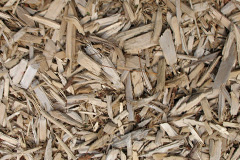 biomass boilers Llanycil